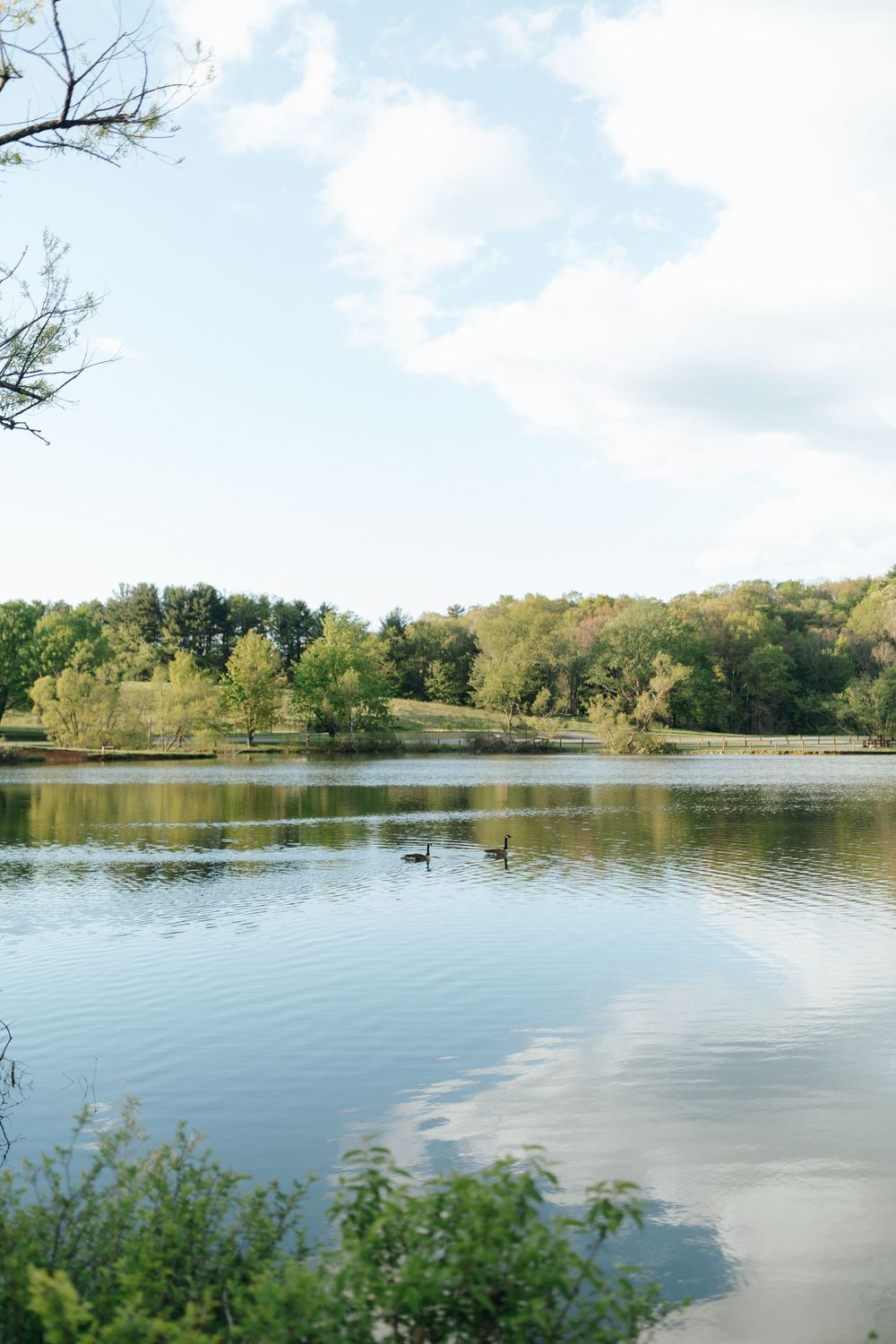 Tranquil lake landscape with calm waters reflecting blue sky and surrounded by lush green trees.
