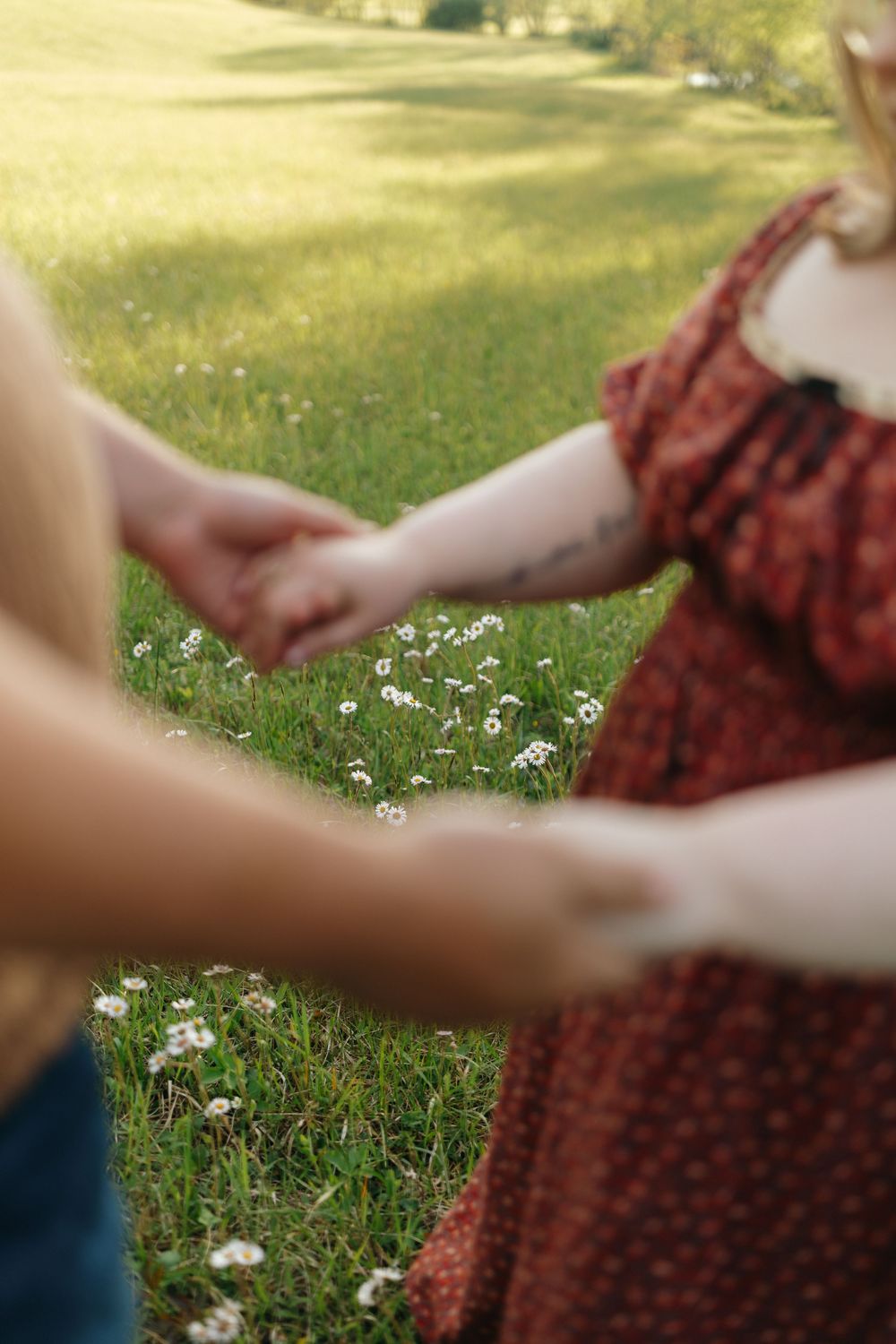 Close-up view of hands holding against a background of wildflowers in a sunny meadow.