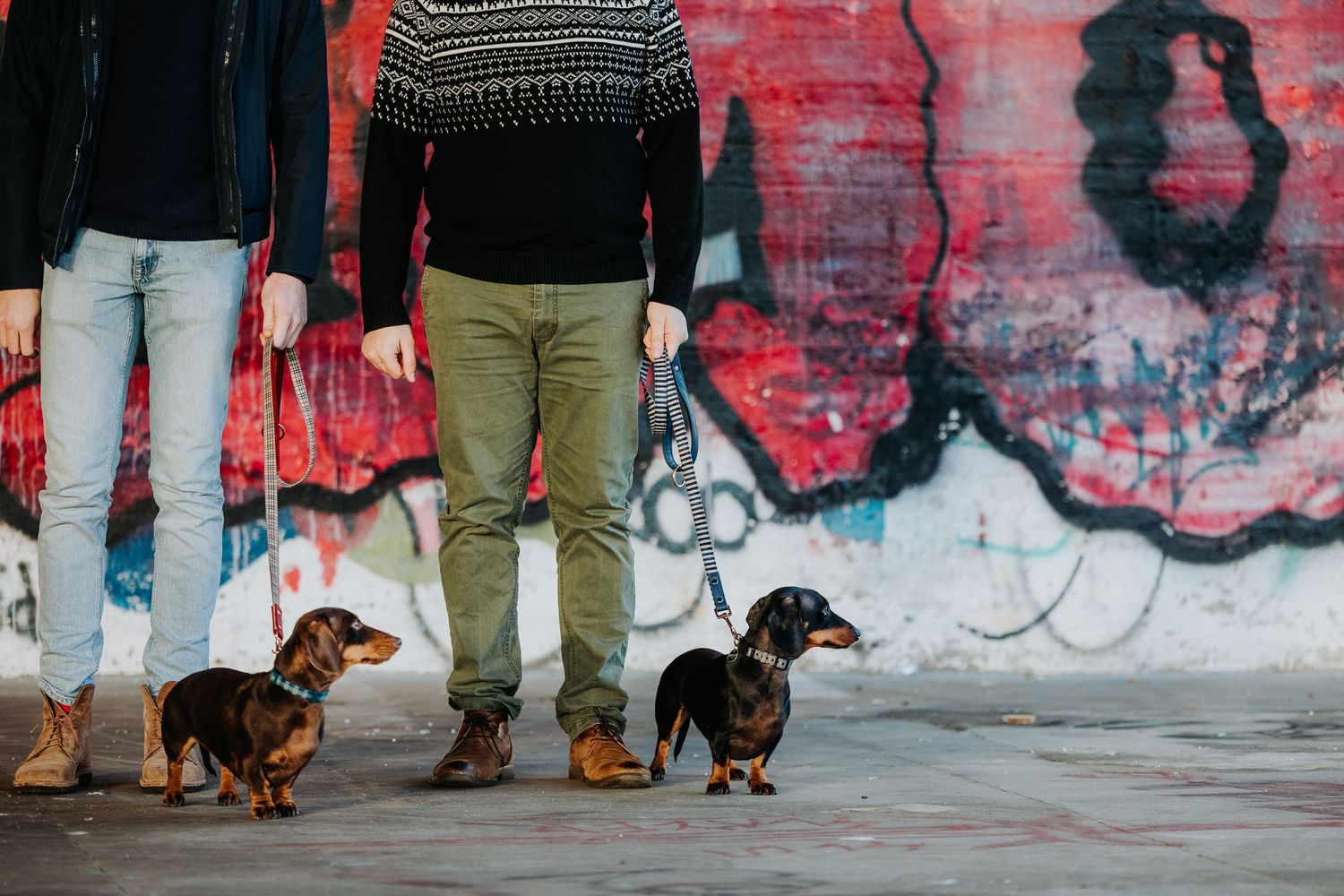 Two dachshund dogs walking with their owners in front of colorful graffiti wall.