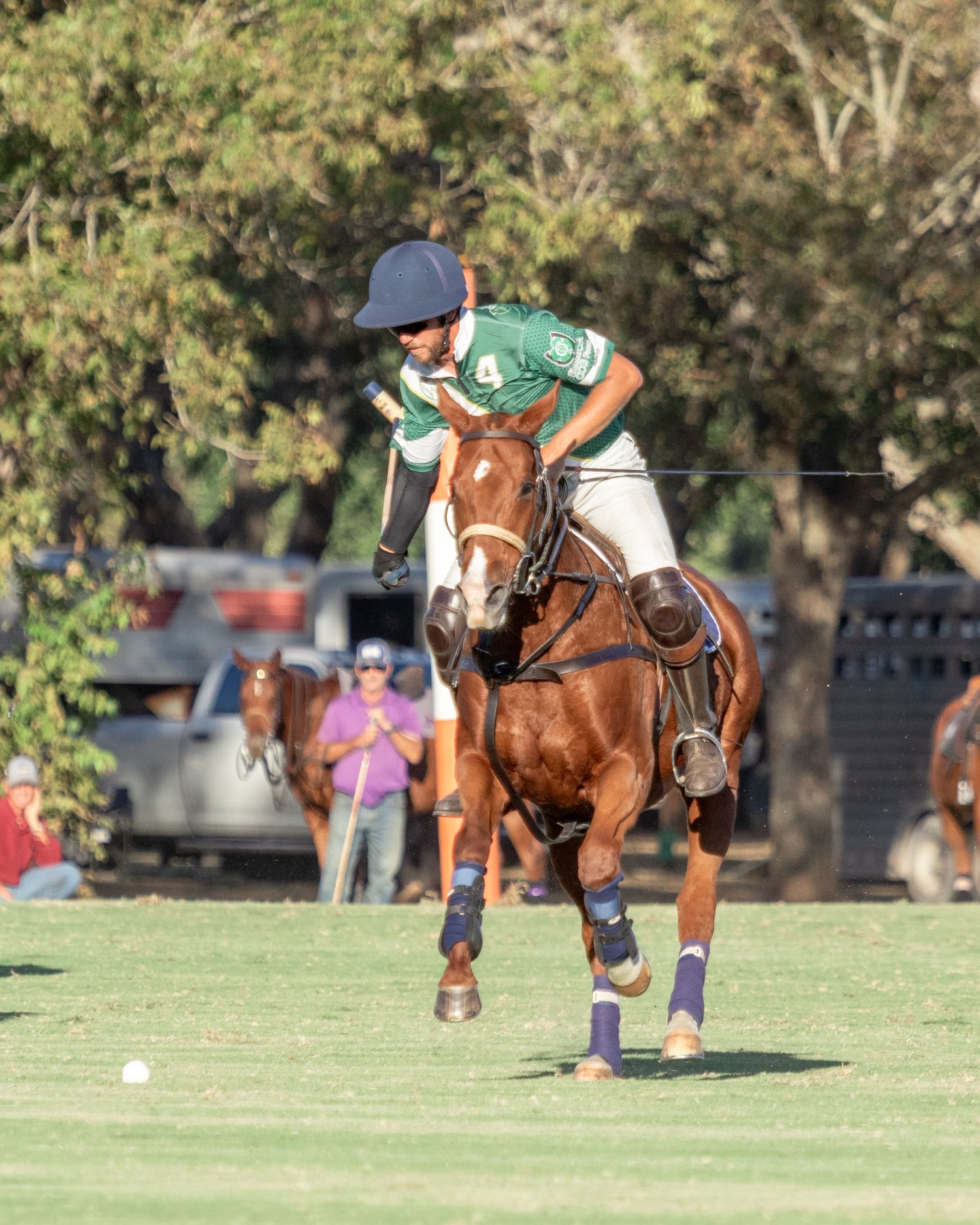 Polo