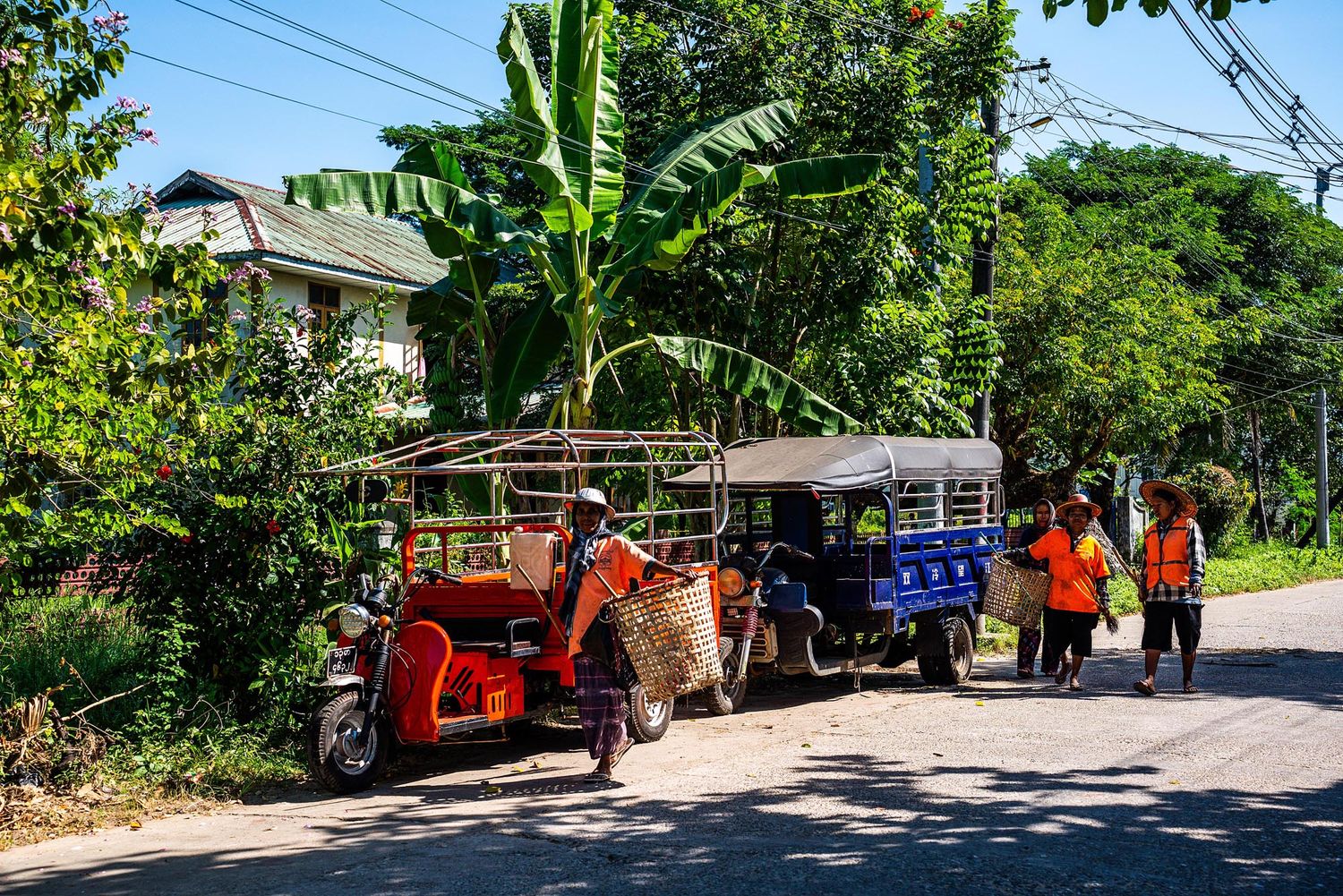 Colorful tuk tuks parked on a rural road with banana trees and greenery in the background.