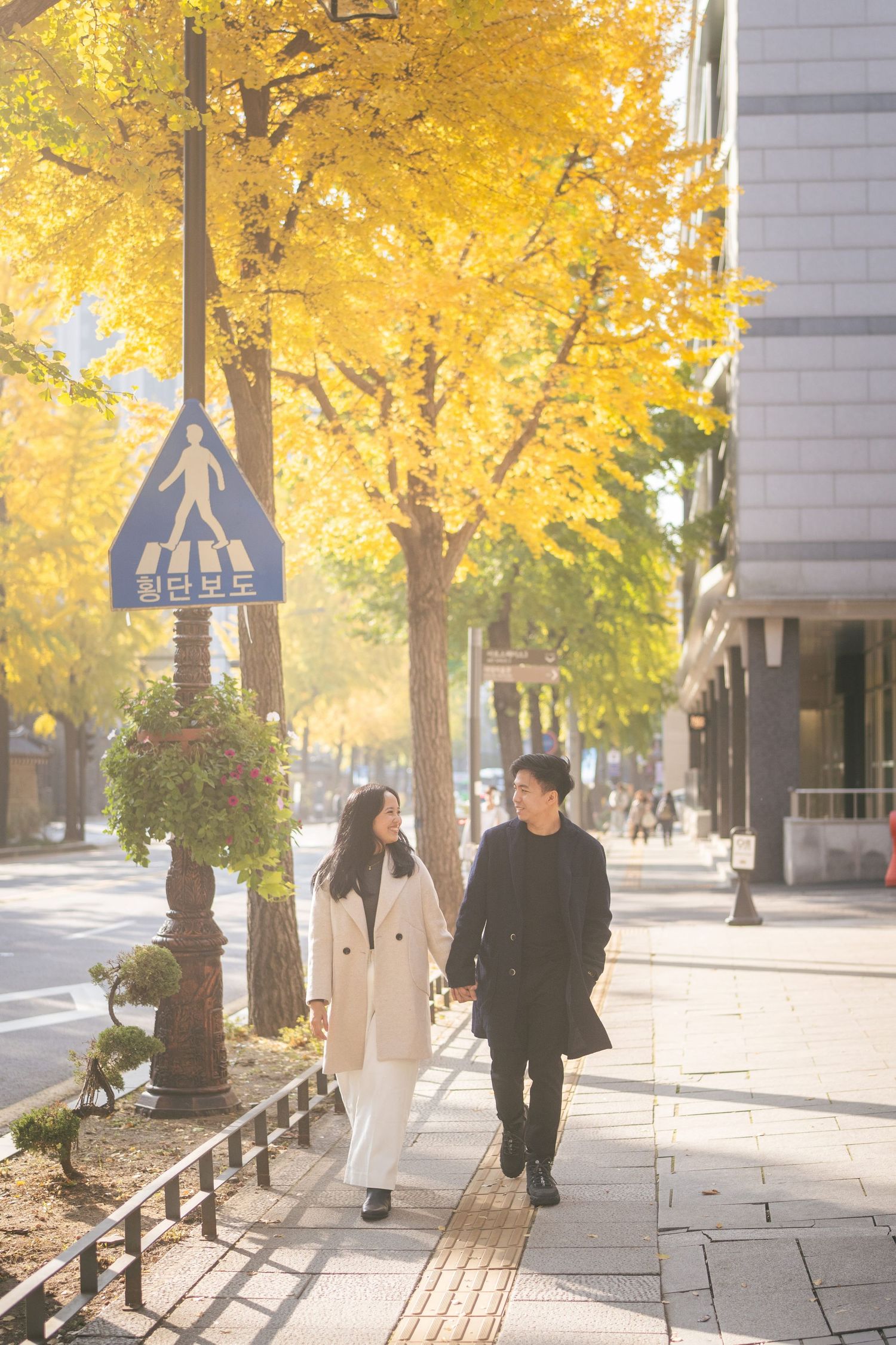 People walking on a sidewalk lined with golden autumn trees casting long shadows on a sunny afternoon.