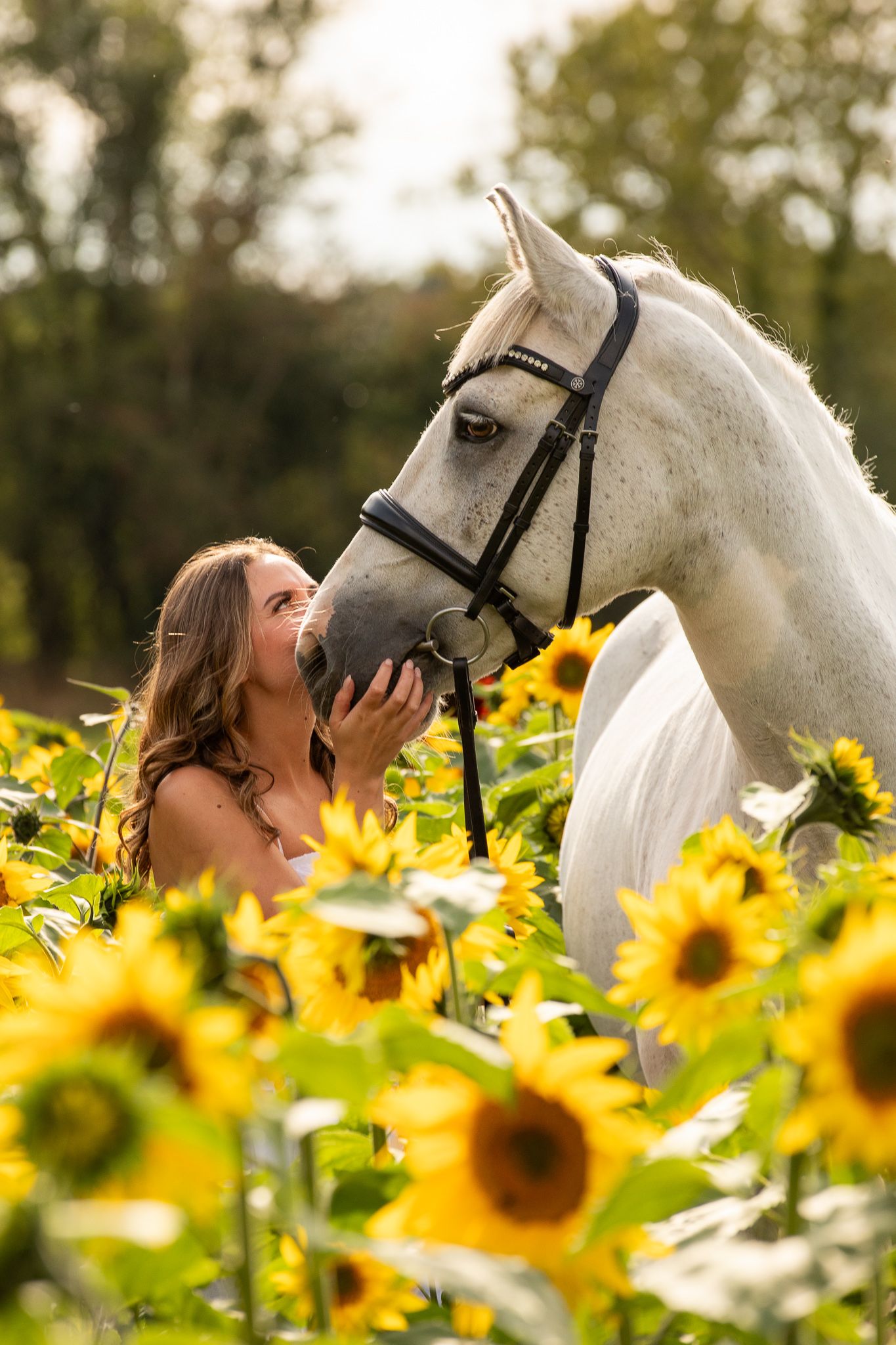 A beautiful black and white paint horse stands with a person on a sunny autumn day outdoors.