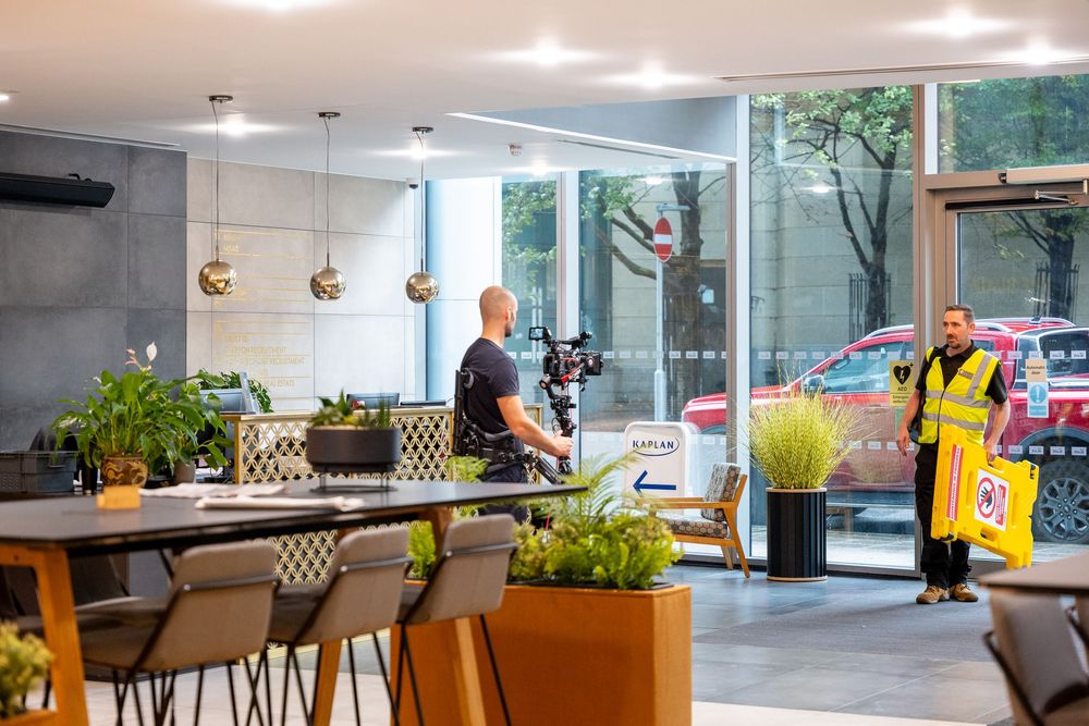 Modern office interior with stylish furniture and plants illuminated by natural light.