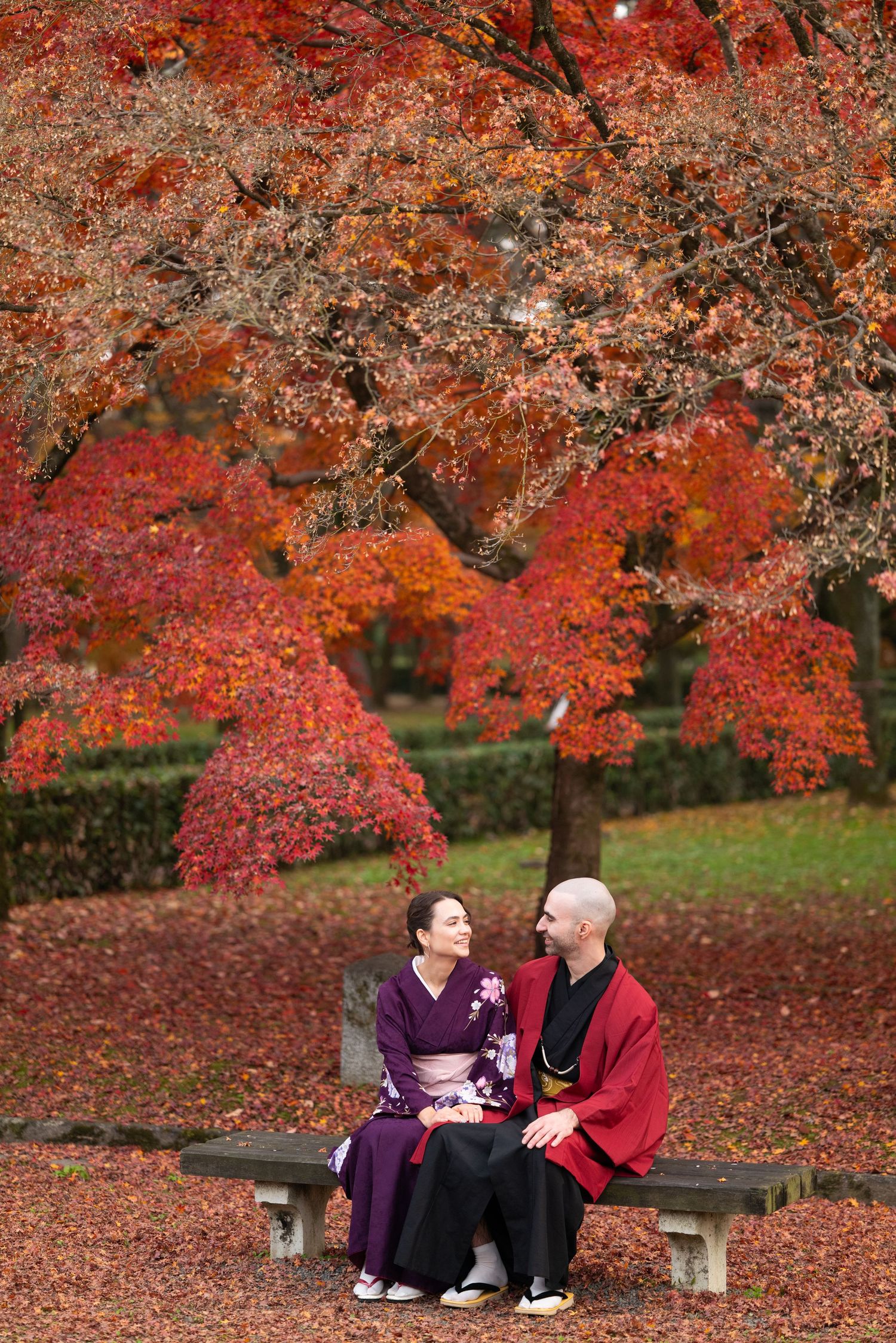 Couple in traditional Japanese kimono sitting on a bench beneath stunning red autumn maple trees.