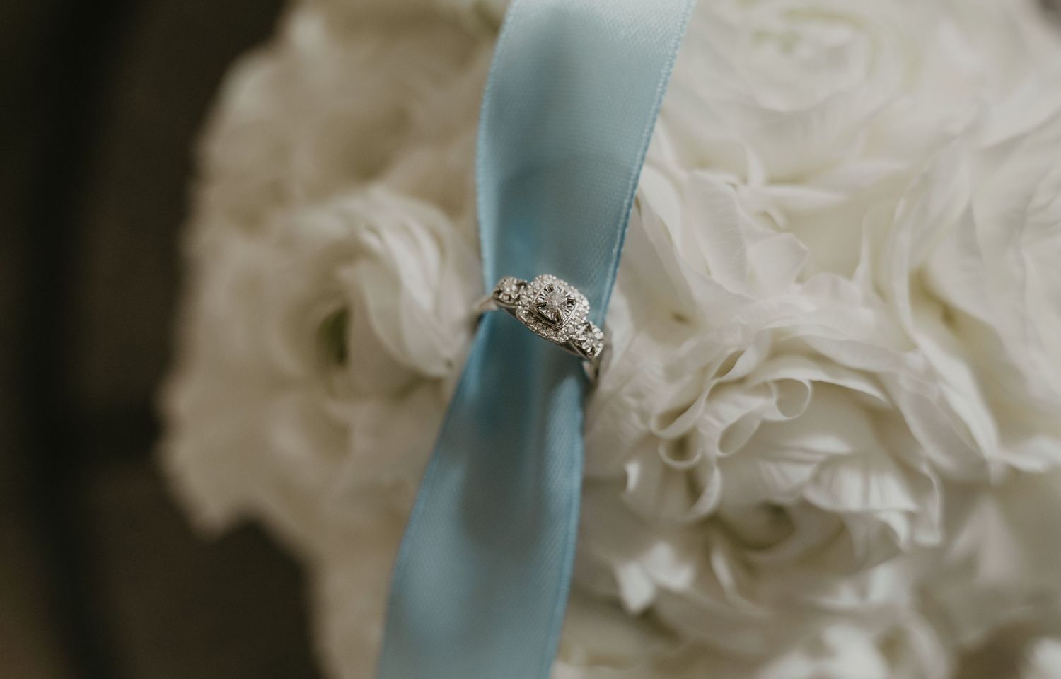 A delicate white carnation flower rests against a soft blue background creating an elegant contrast.