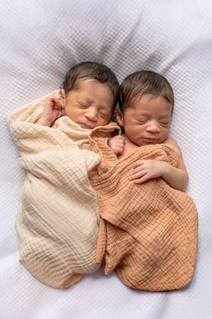 Photo de jumelles, jumeaux, bébés nouveaux-nés dans les yvelines