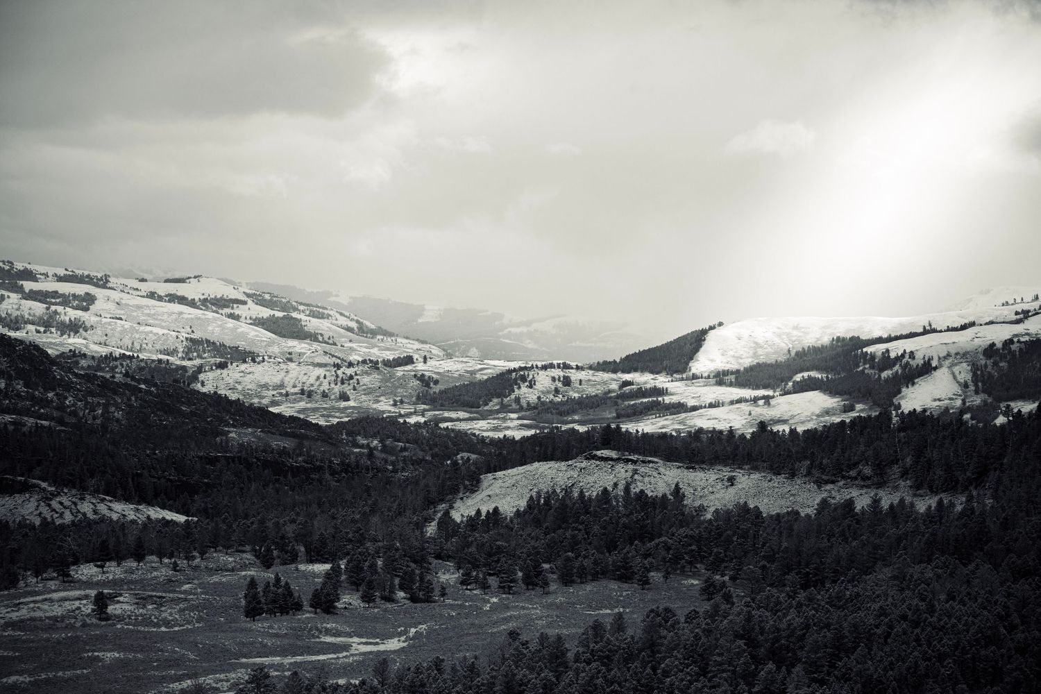 cisco photography wildlife, mountains , national parks photography for businesses, photography for office Fotografía de vida silvestre,