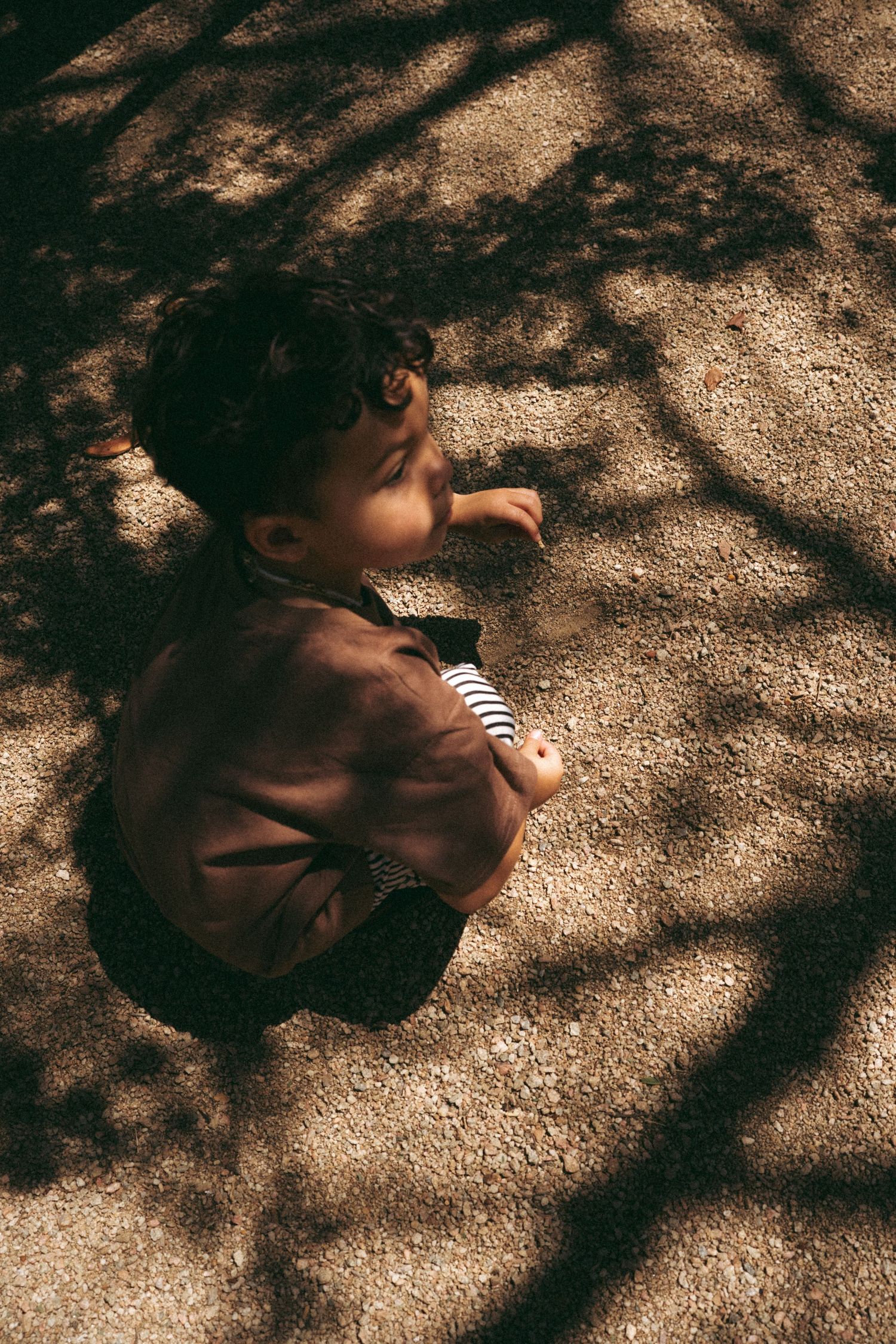 Child sitting on ground with dramatic tree shadow patterns.