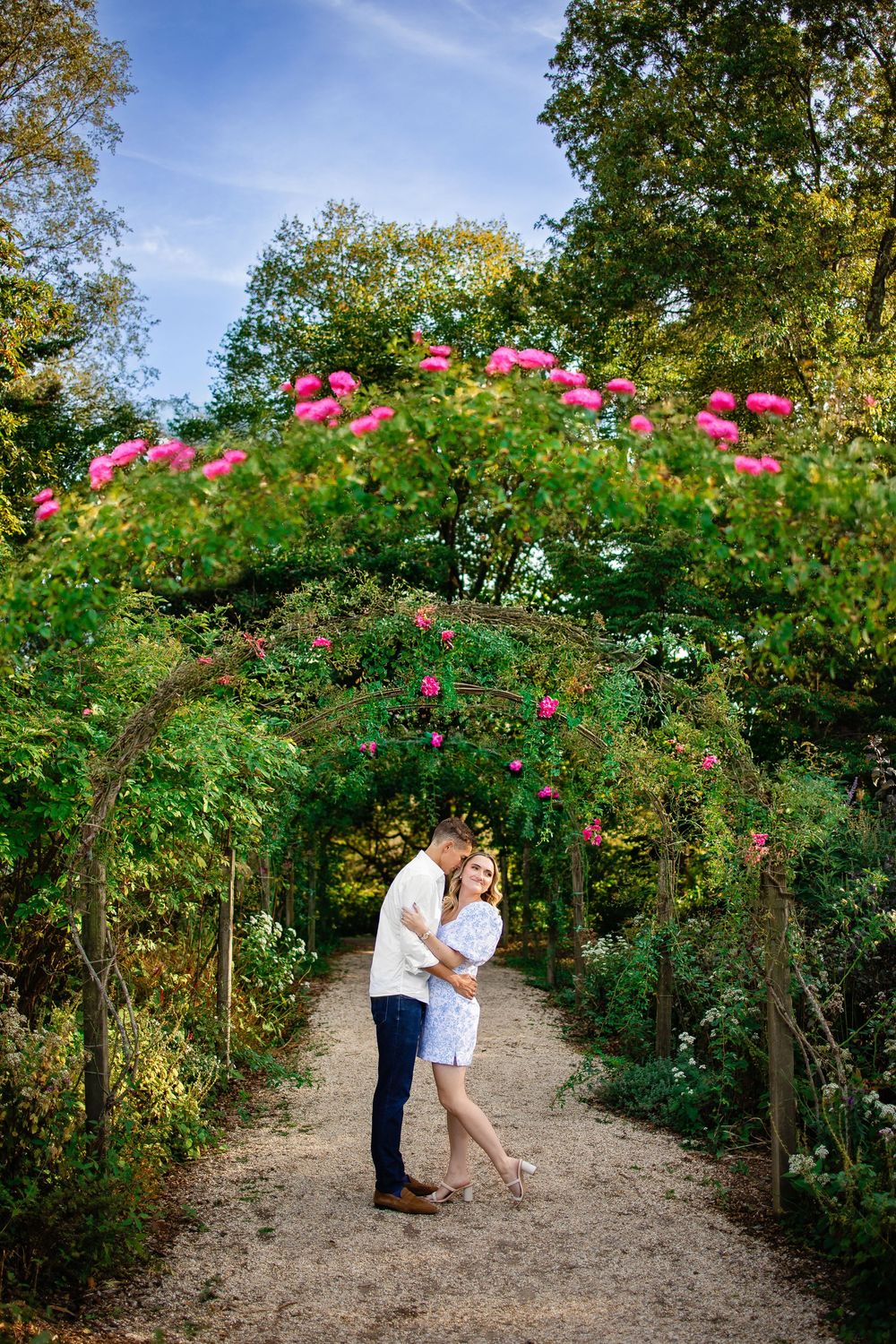 A romantic garden path surrounded by blooming pink roses and lush greenery creates an enchanting natural setting.