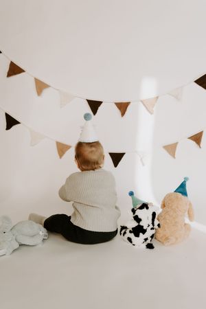 Row of stuffed animals wearing party hats with triangle bunting decoration.