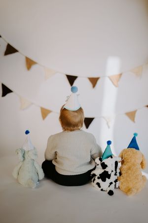 Stuffed animal birthday party setup with blue party hats and triangle banners.