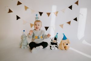 Birthday party scene with plush toys and decorative bunting flags on white background.