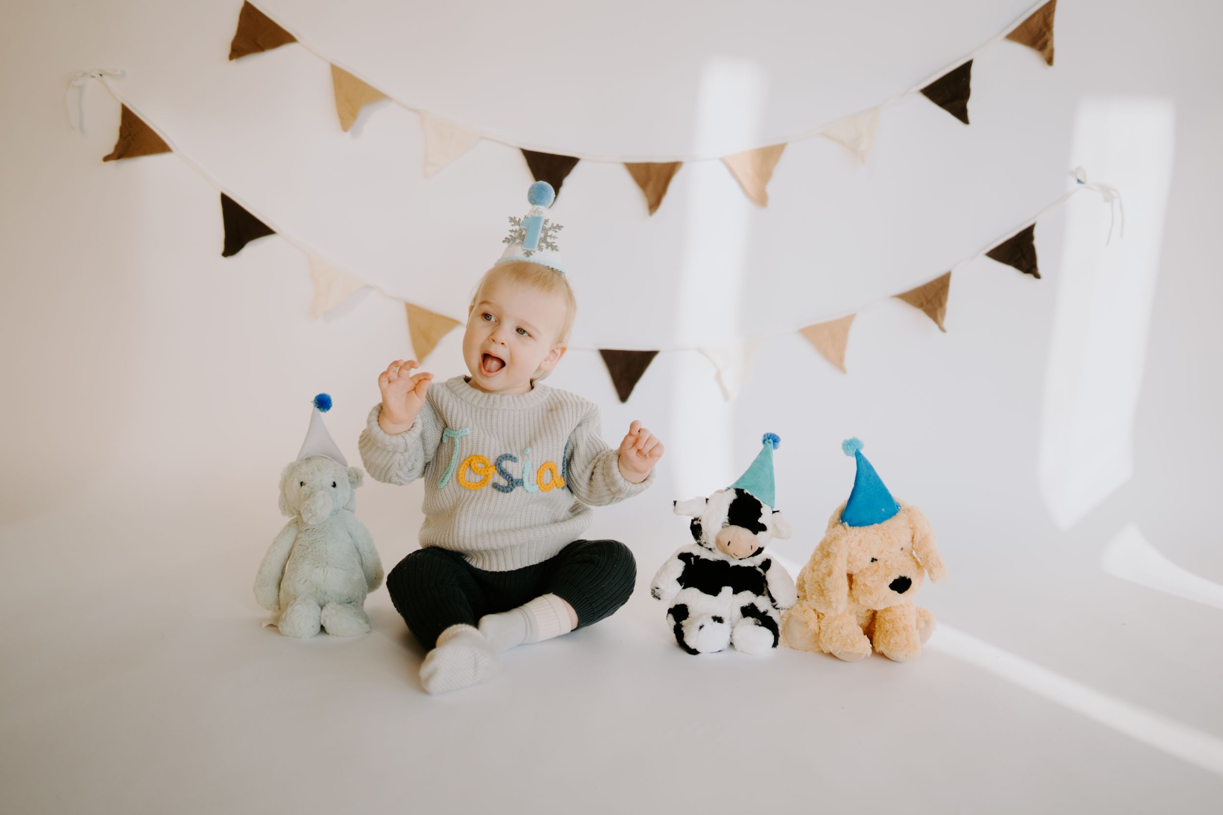 Celebratory setup with stuffed animals and triangle banners in minimalist white room.
