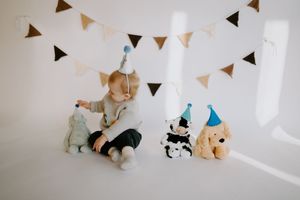 Party scene with triangular banners and stuffed animals arranged against white wall.