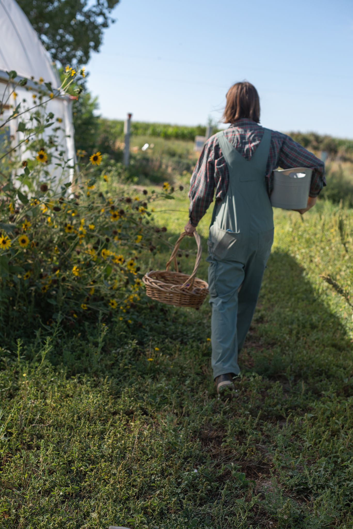 documentary photograph of a farmer carrying produce in nampa idaho
