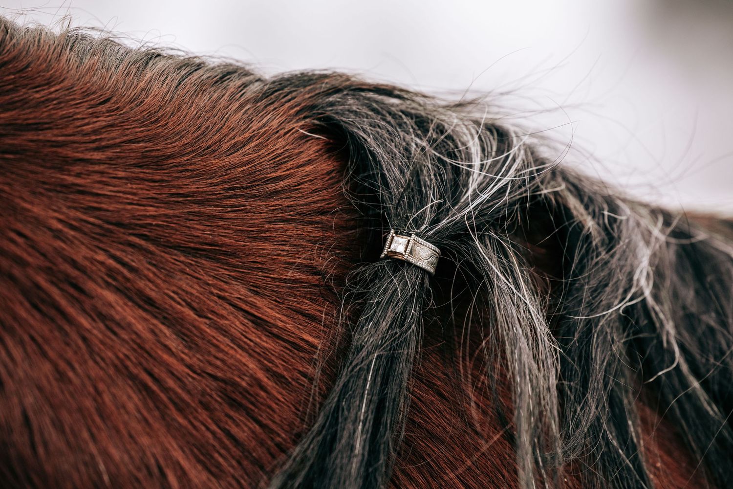 Western engagement ring in a horse's mane. Engagement photography in Cle Elum, WA