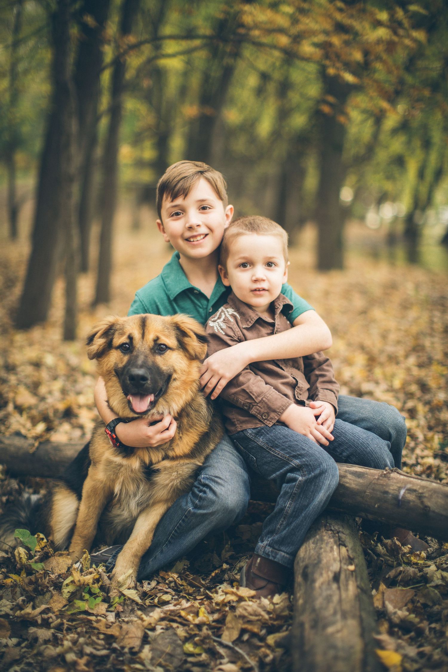 Two young companions sit on a fallen log with their happy German Shepherd mix dog in an autumn forest.