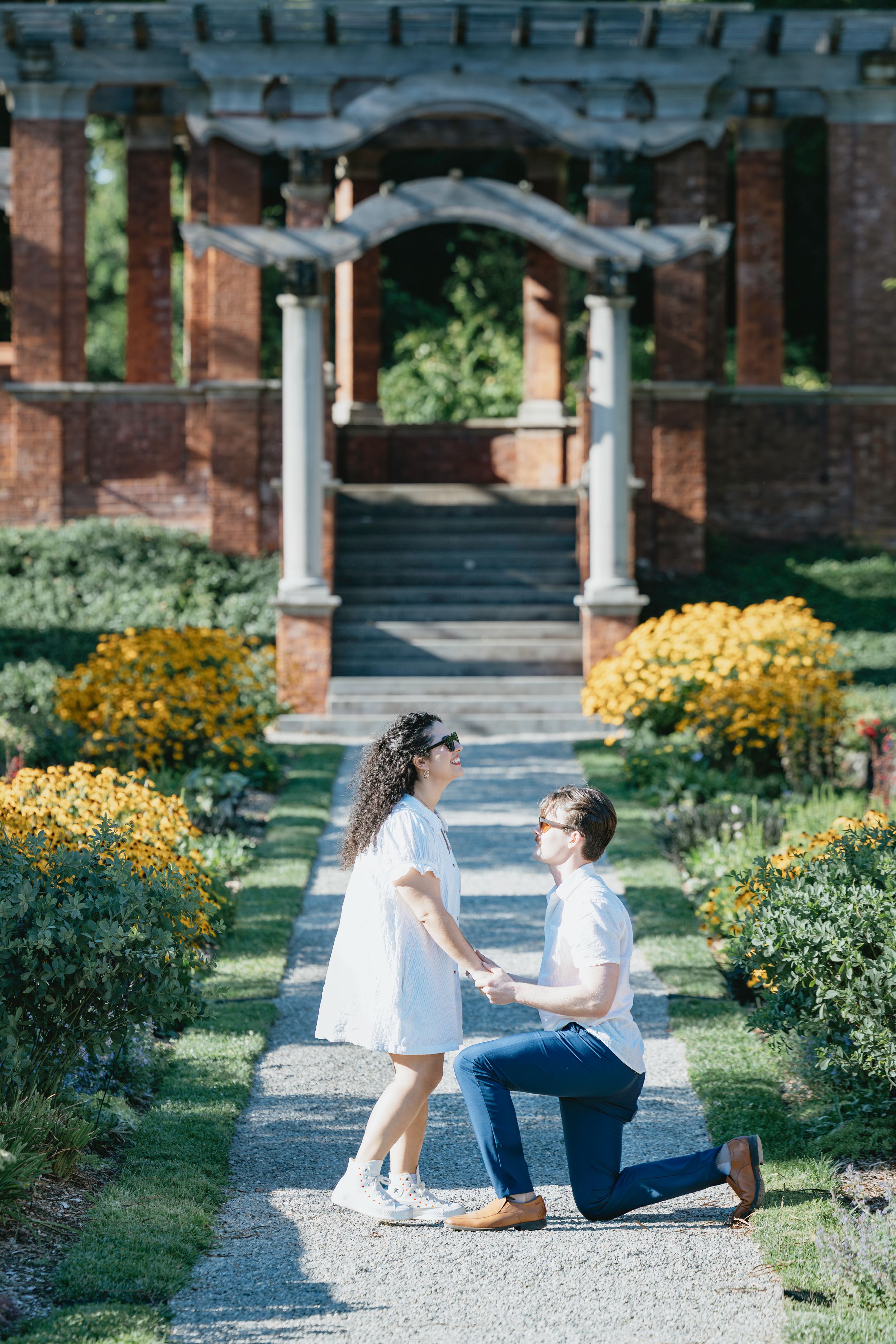 A romantic proposal moment in a garden path surrounded by yellow flowers and brick archways.