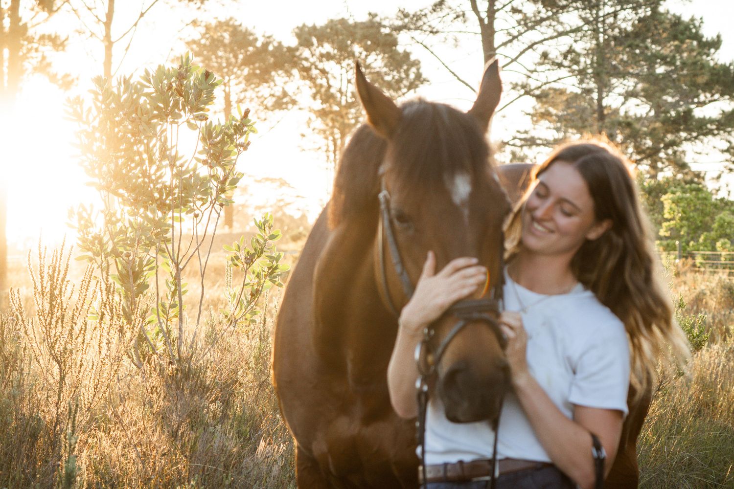 equestrian portrait photography session in the Garden Route
