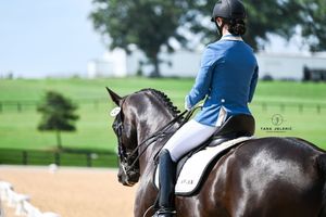 ©Morven Park Dressage
Tara Jelenić Photography