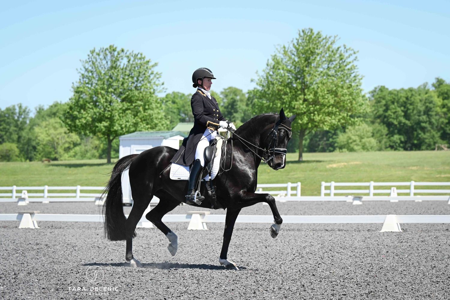 ©Loch Moy Dressage
Tara Jelenić Photography