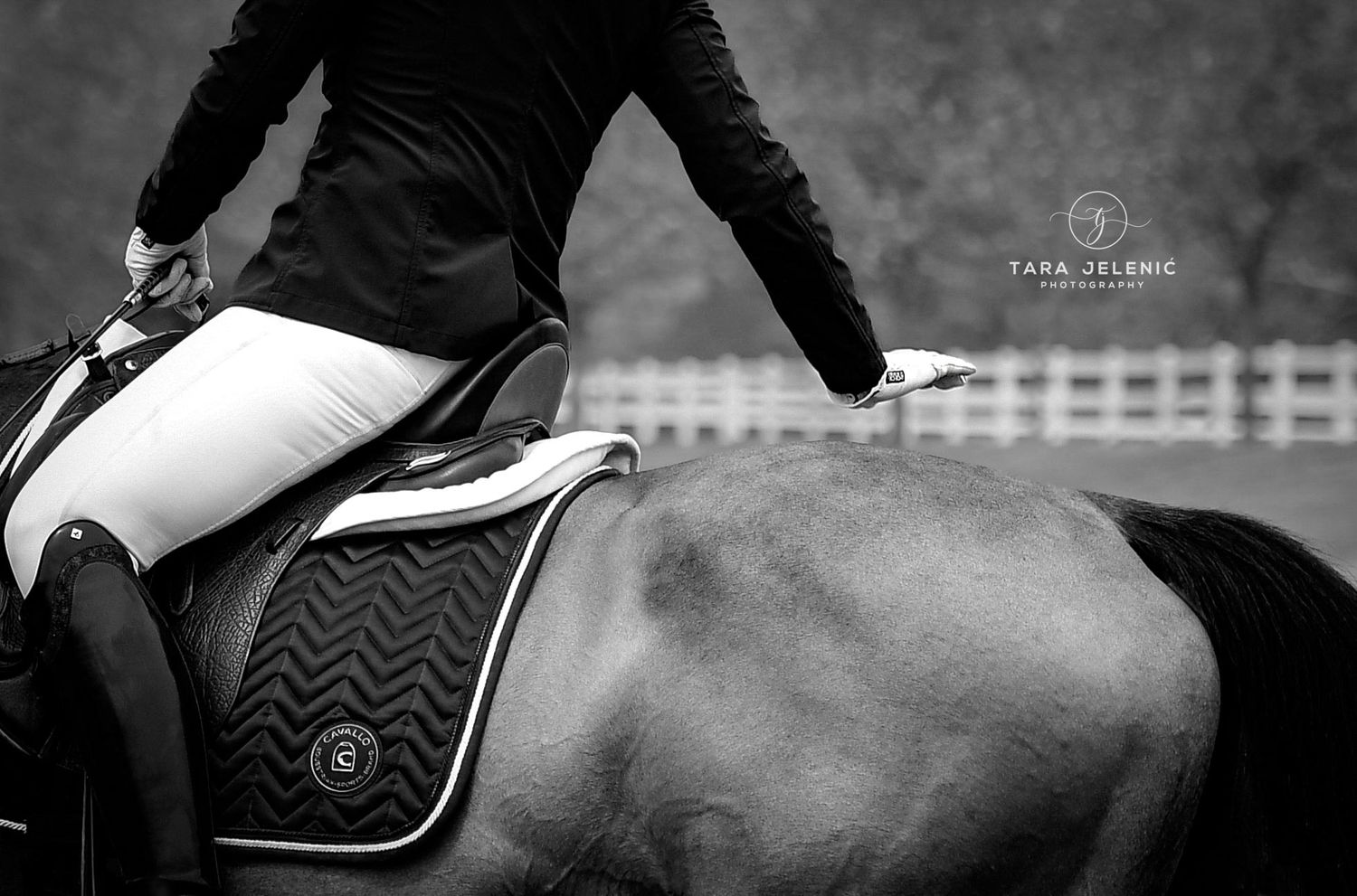 ©And Just Like That in B&W
Tara Jelenić Photography
