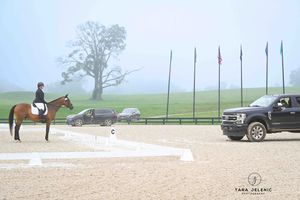 ©Great Meadow Dressage
Tara Jelenić Photography