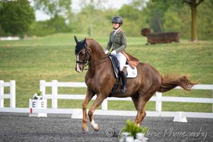 ©Loch Moy Dressage
Tara Jelenić Photography