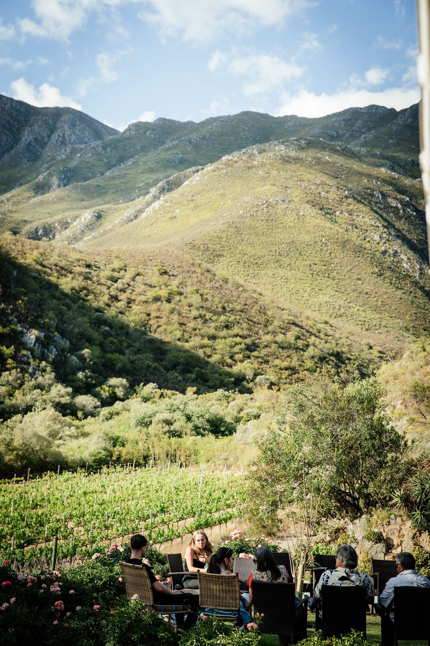 Capetown Wedding Photographer Kimberley and Aidan Kleinhoekkloof Wines Robertson