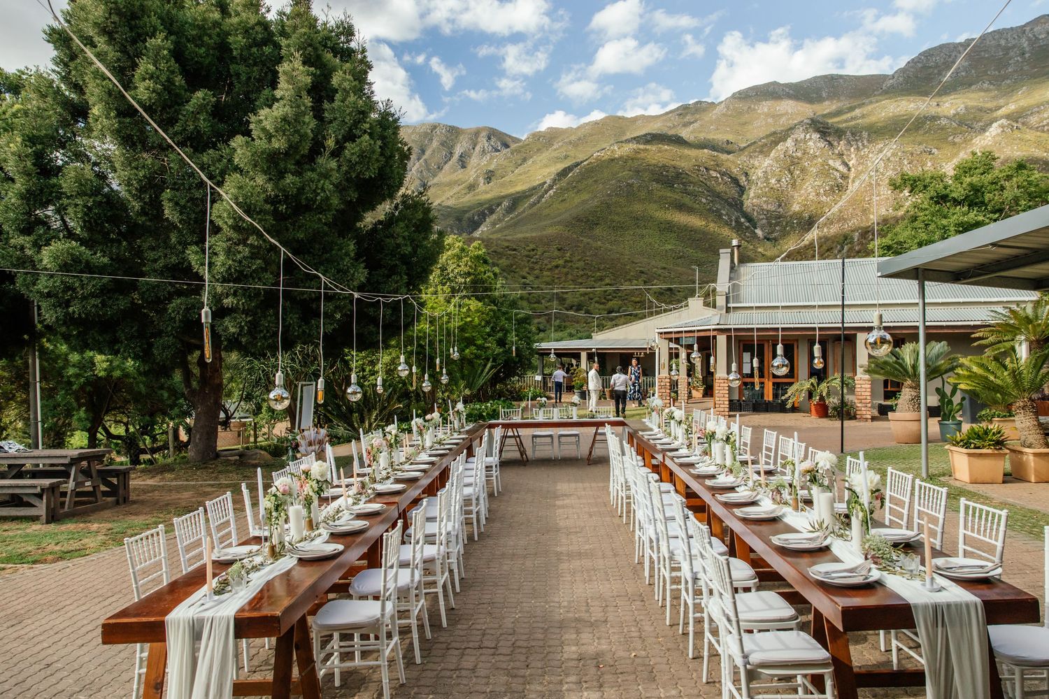 Capetown Wedding Photographer Kimberley and Aidan Kleinhoekkloof Wines Robertson