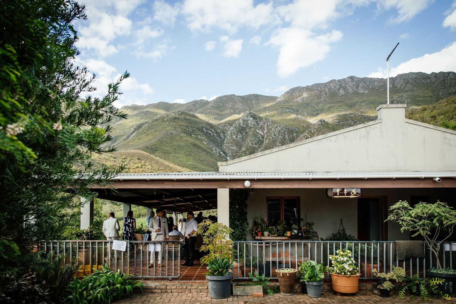 Capetown Wedding Photographer Kimberley and Aidan Kleinhoekkloof Wines Robertson