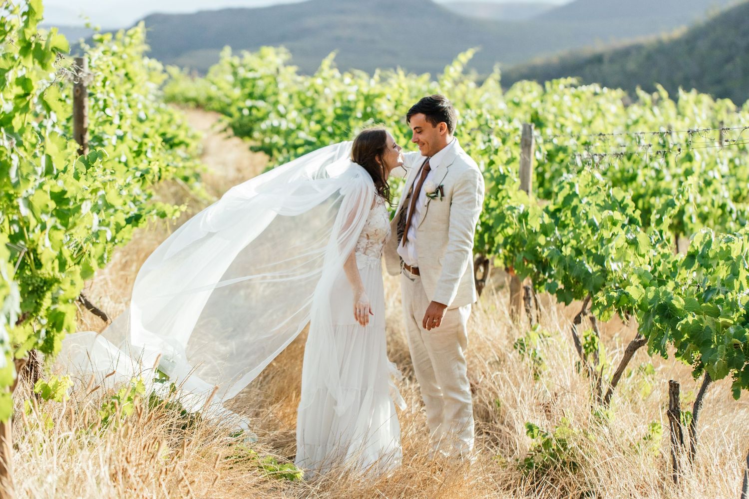 Capetown Wedding Photographer Kimberley and Aidan Kleinhoekkloof Wines Robertson