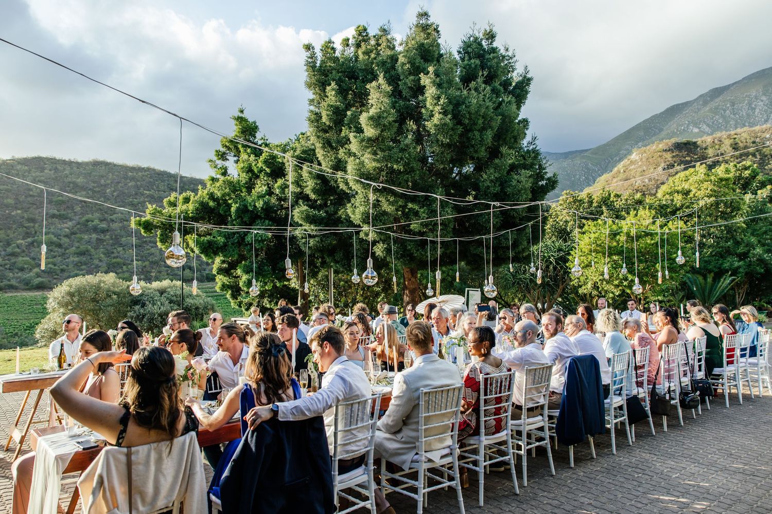 Capetown Wedding Photographer Kimberley and Aidan Kleinhoekkloof Wines Robertson