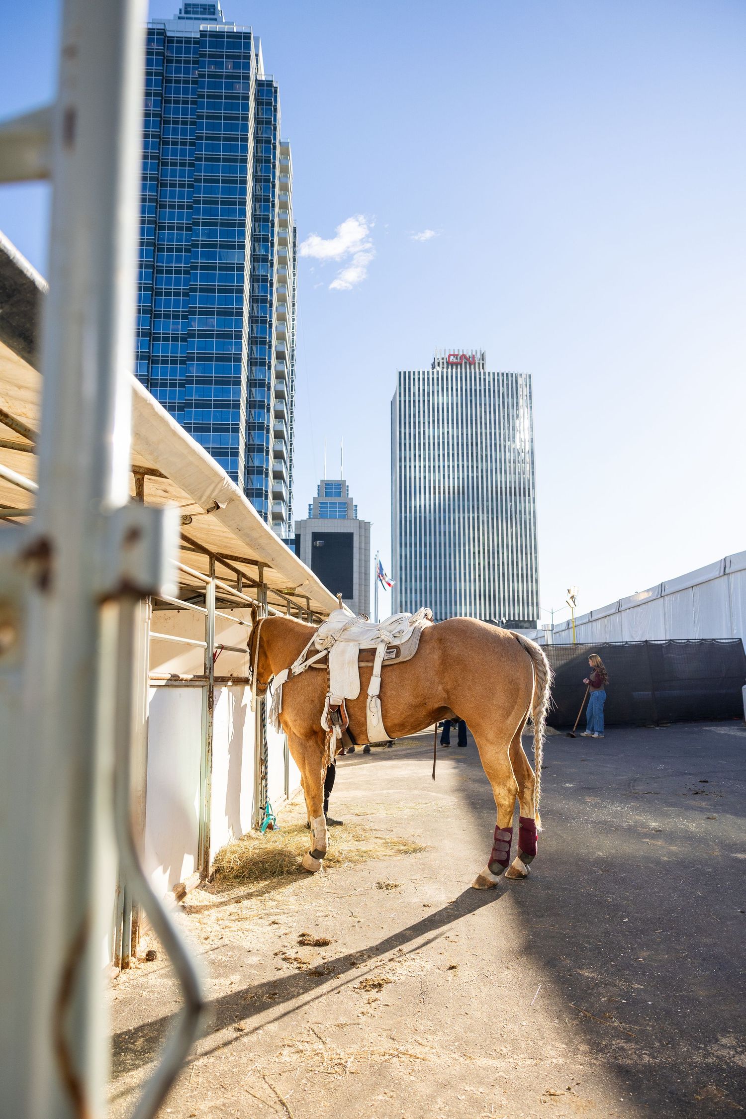 A saddled palomino horse stands outside urban stables with modern city skyscrapers visible against a blue sky backdrop.