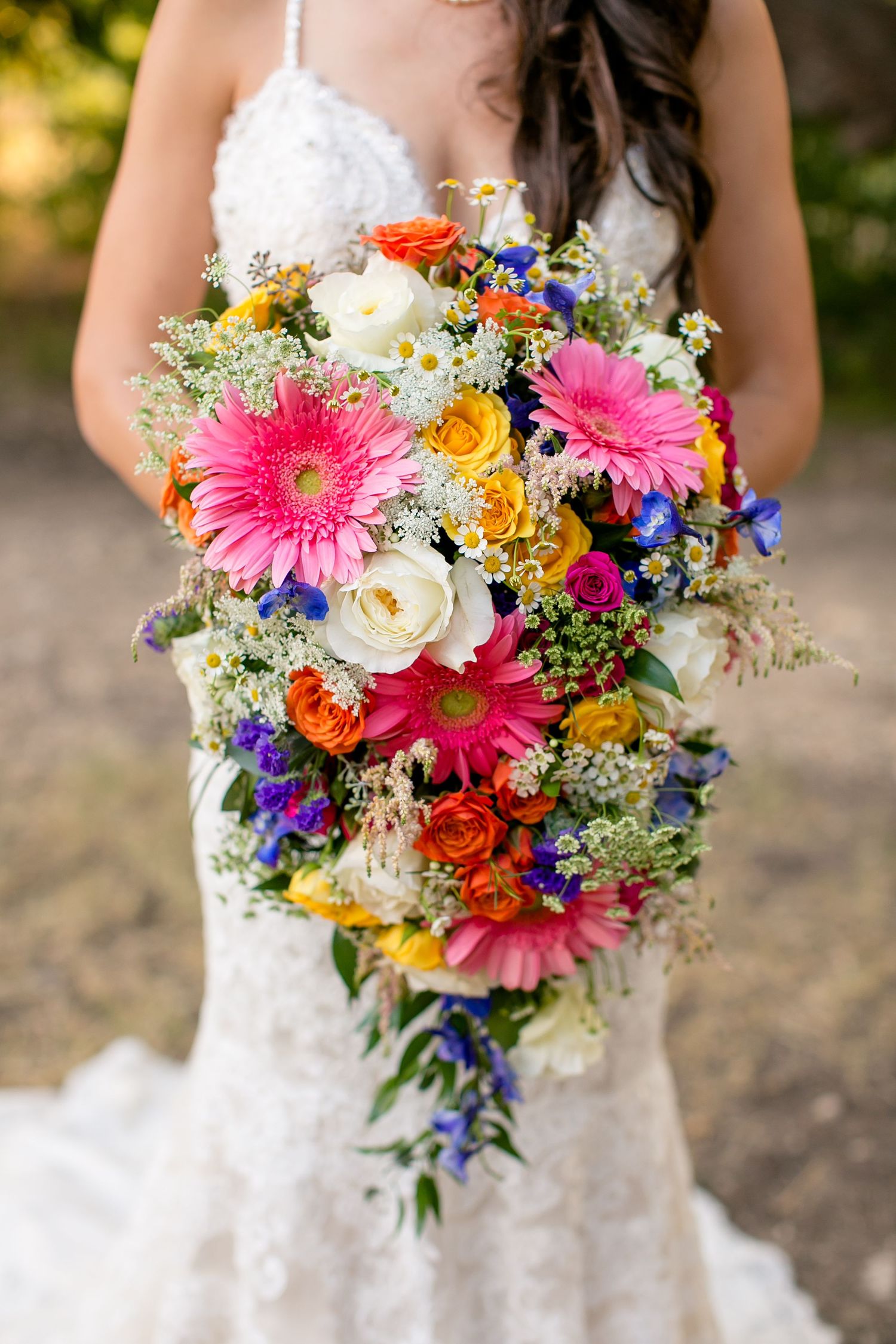 A vibrant cascading bridal bouquet with pink gerbera daisies, white roses, yellow blooms and purple delphinium flowers.