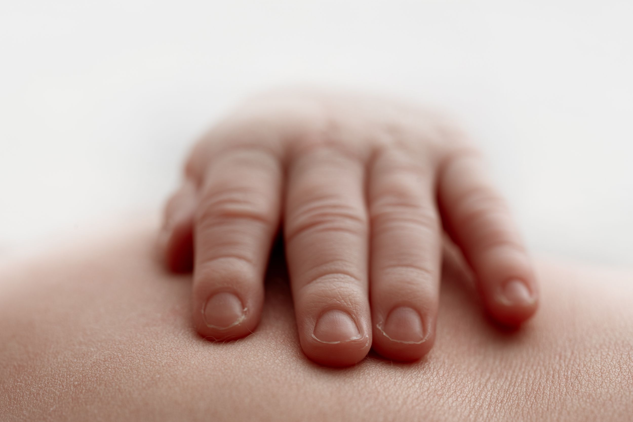 Close-up view of tiny baby fingers gently resting on soft skin. – newborn photographer Paloma Schell Houston TX