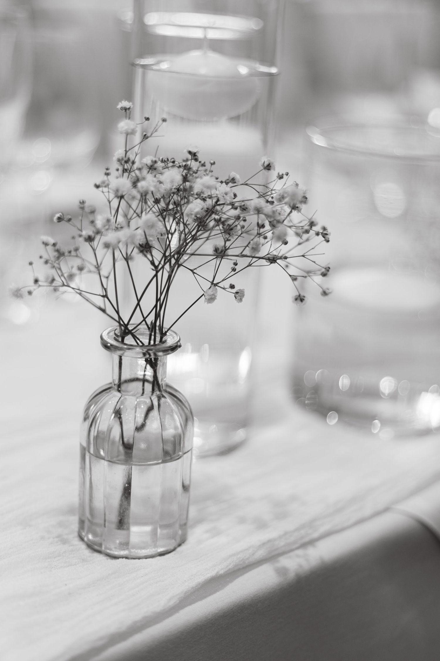 Delicate baby's breath flowers arranged in clear glass vases as minimalist wedding centerpieces.