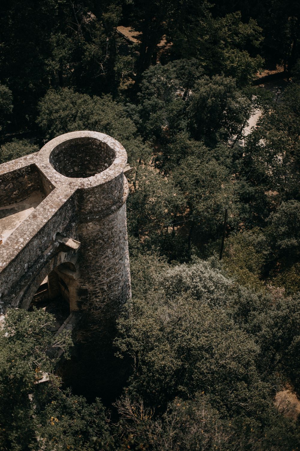 Ancient stone tower structure rising above dense forest landscape.