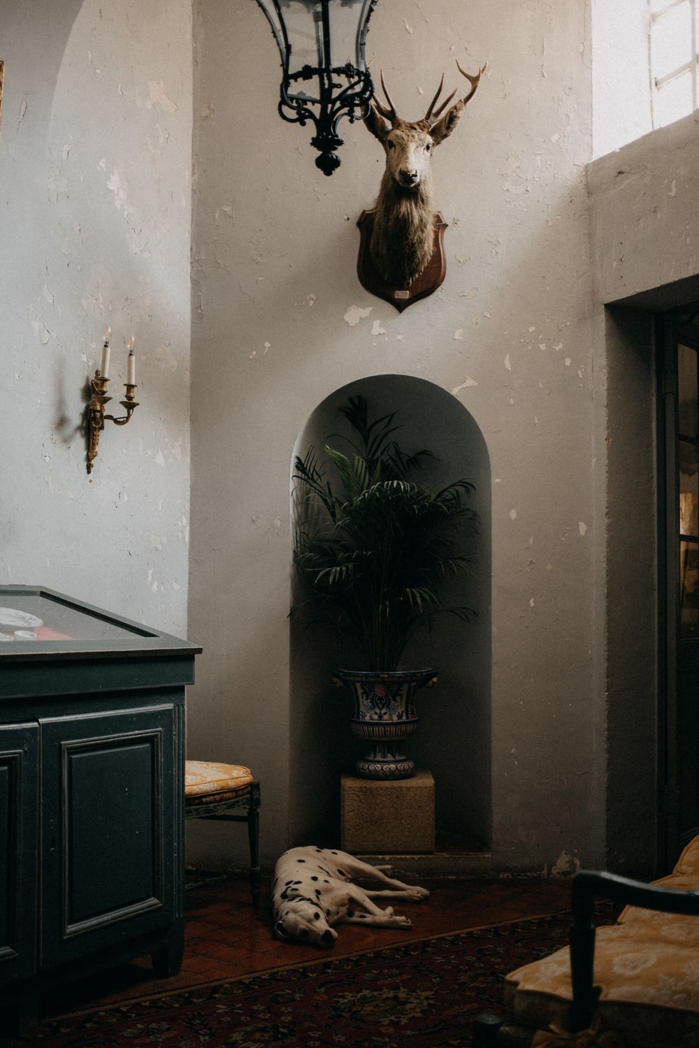 Elegant room interior with mounted deer head, chandelier and potted plant in arched alcove.