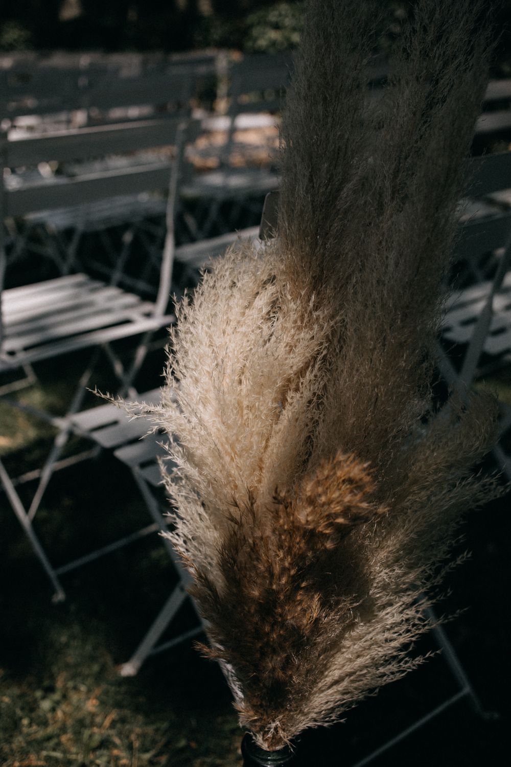 Dried pampas grass plume against blurred background of outdoor furniture.