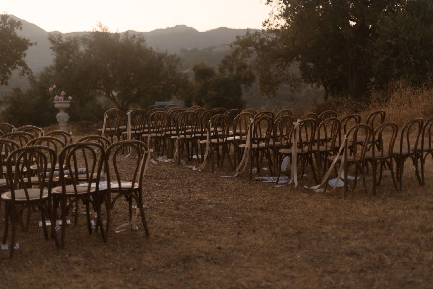 Rows of empty vintage bentwood chairs set up outdoors at sunset with mountains in the background.