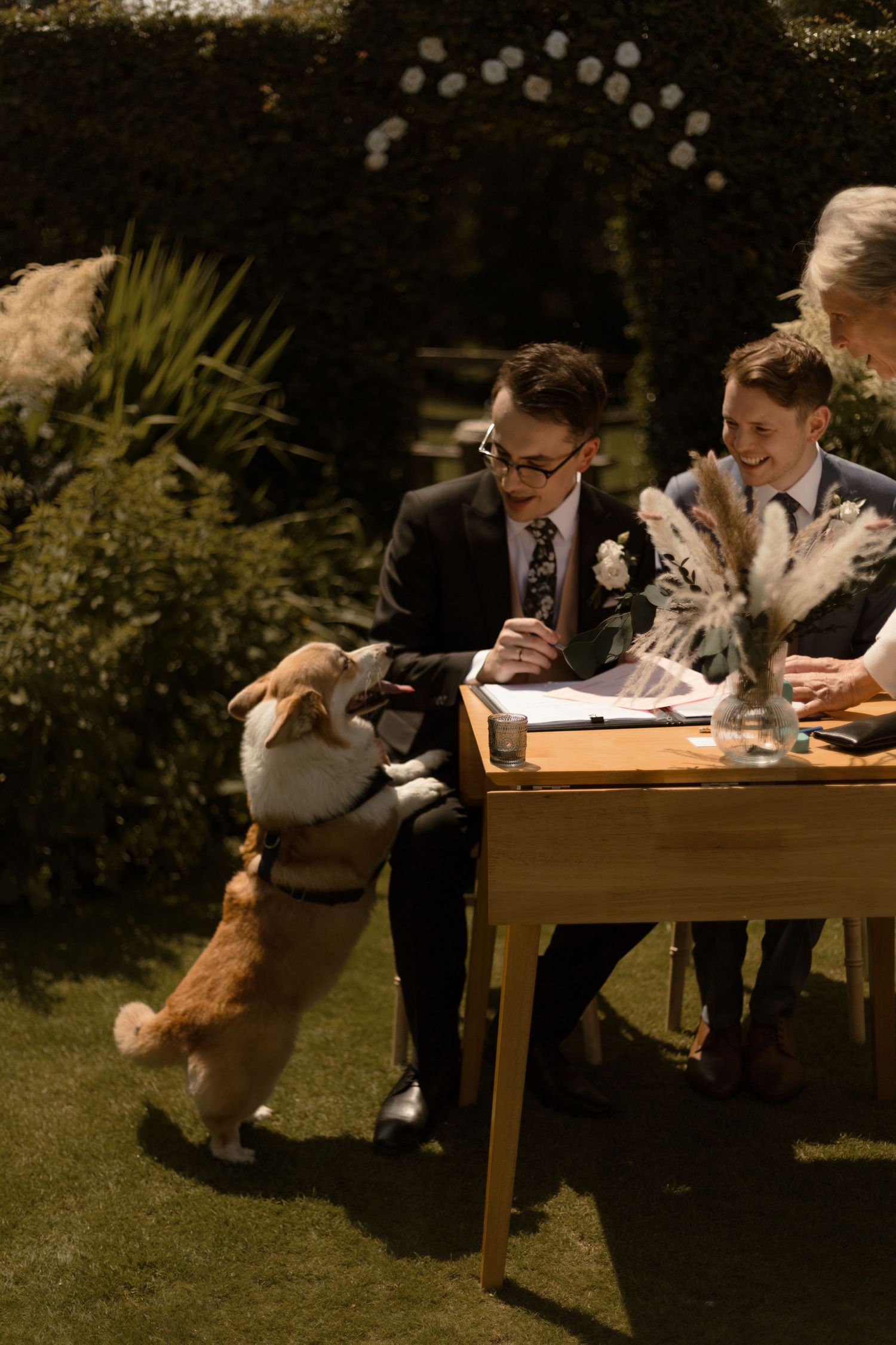 A corgi dog jumps up at a wooden table during an outdoor garden ceremony with soft lighting and floral decor.