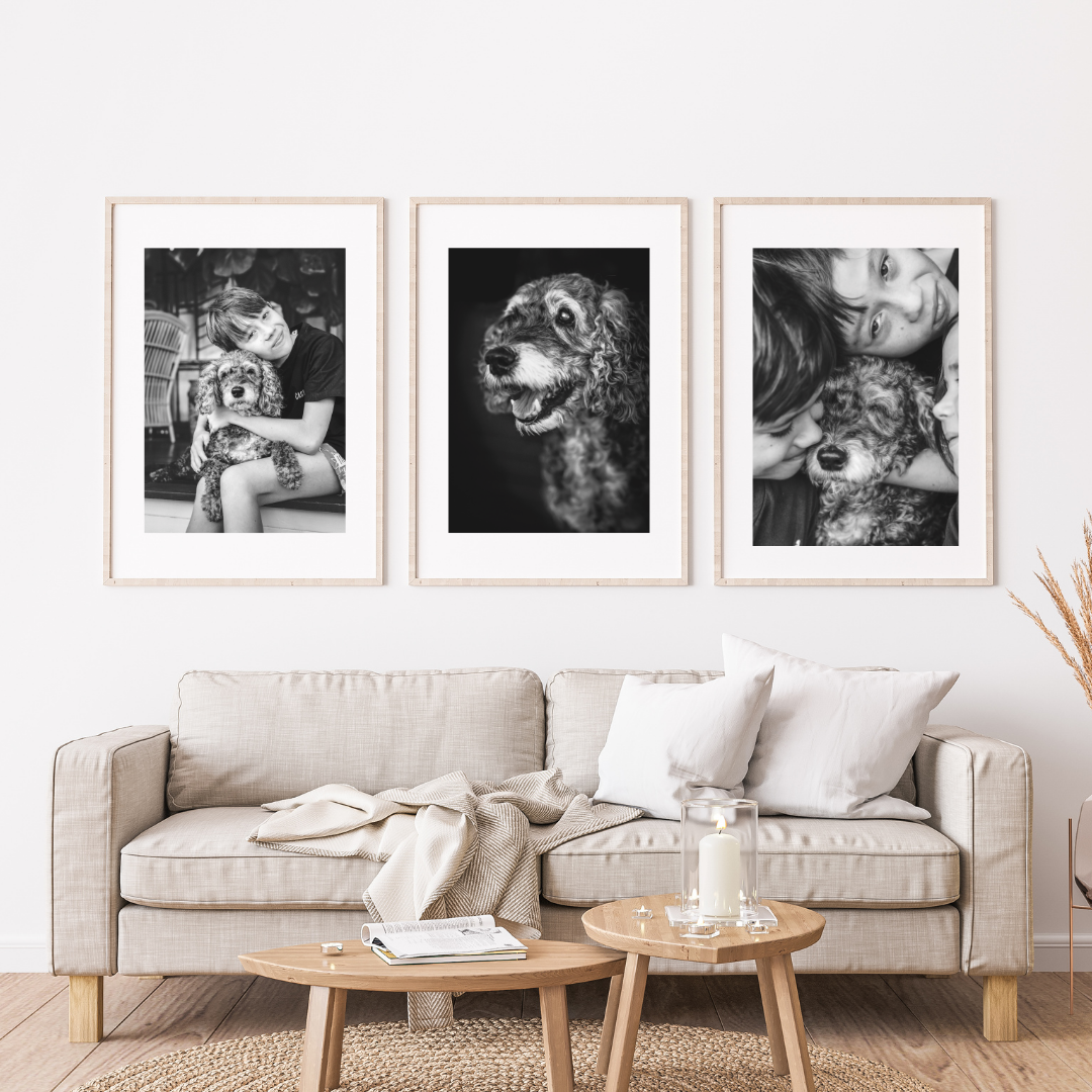 Minimalist living room with white sofa, wooden coffee tables and framed black and white photographs.