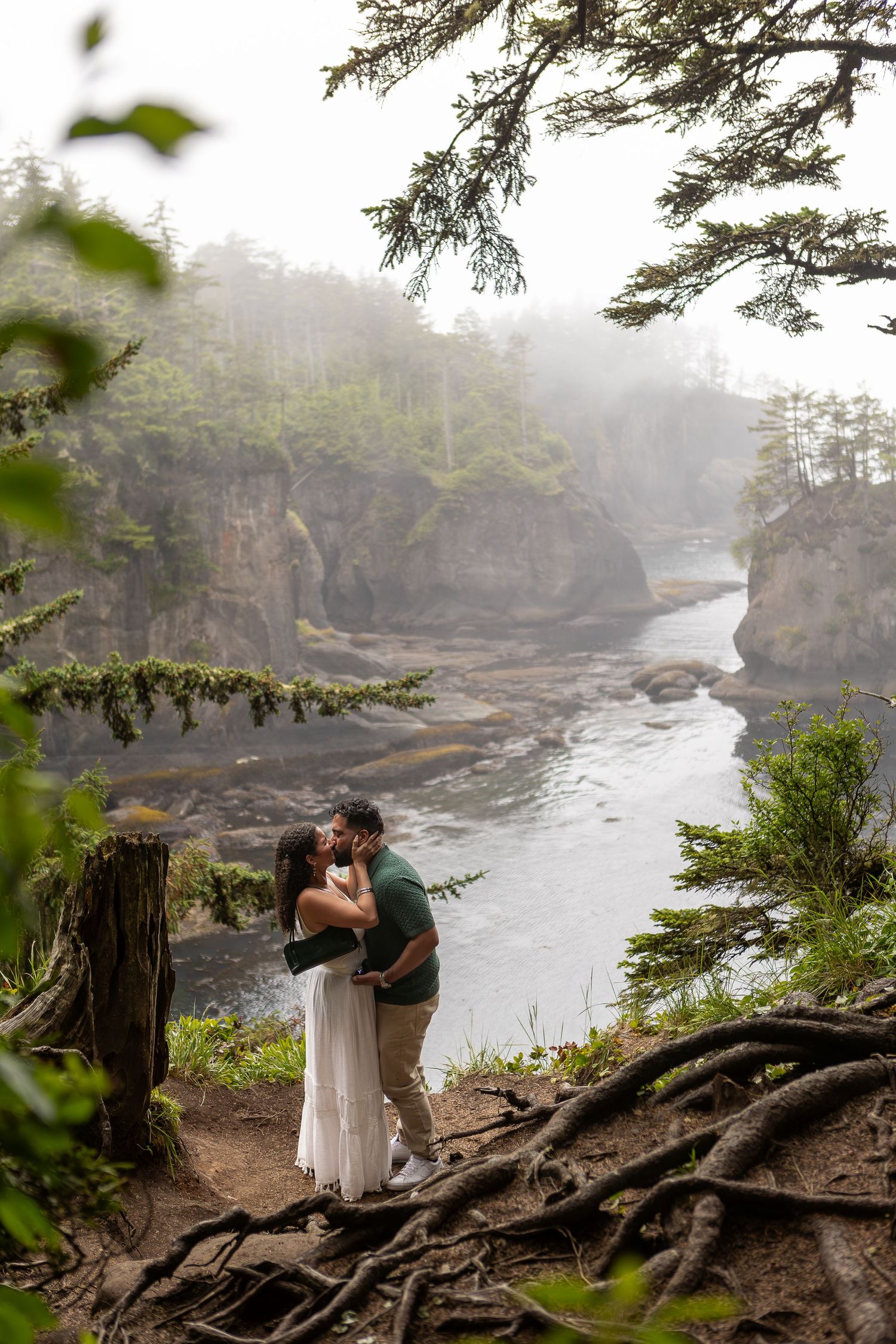 Misty coastal landscape with exposed tree roots along a rugged shoreline.