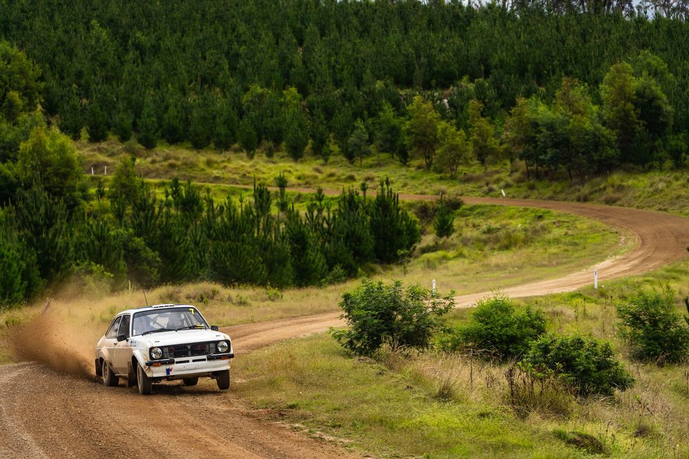 A vintage white Ford Bronco drives along a winding dirt trail through green forested hills and meadows.