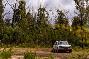 A white rally car drives on a dirt track surrounded by dense green forest under moody skies.