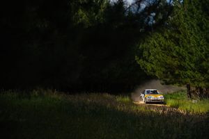 Rally car kicks up dust while racing through a forested area during golden hour lighting.