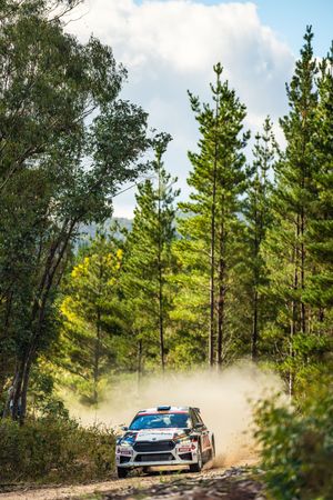 Rally car kicks up dust while racing through a forest track lined with tall pine trees and green vegetation.