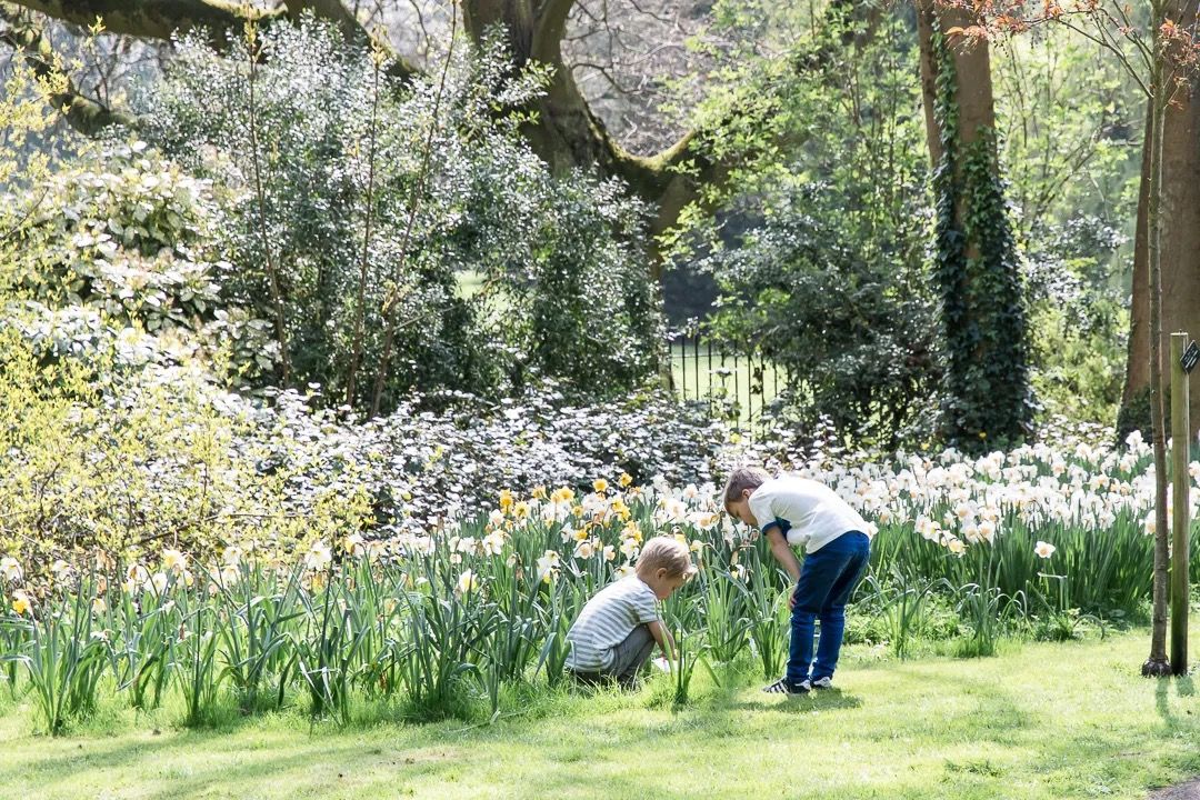 Two children exploring a wildflower garden surrounded by tall trees and soft spring greenery.